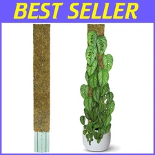 59'' Flat Moss Pole for Monstera - Indoor Plant Climbing Aid