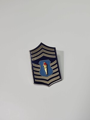 ROTC Master Sergeant Lapel Pin Chevron Blue & Silver Colors Torch