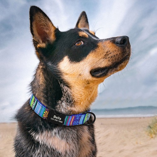Personalised Dog Collar Tribal Print Nylon Pet Collars Adjustable Puppy Dog ID✨ - Picture 8 of 16