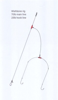 4 X Zweikreis 4/0 Haken Querlenker Rig 