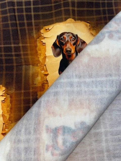 French Terry angeraut " Dackel" Hunde Hundeliebhaber - Bild 3 von 3