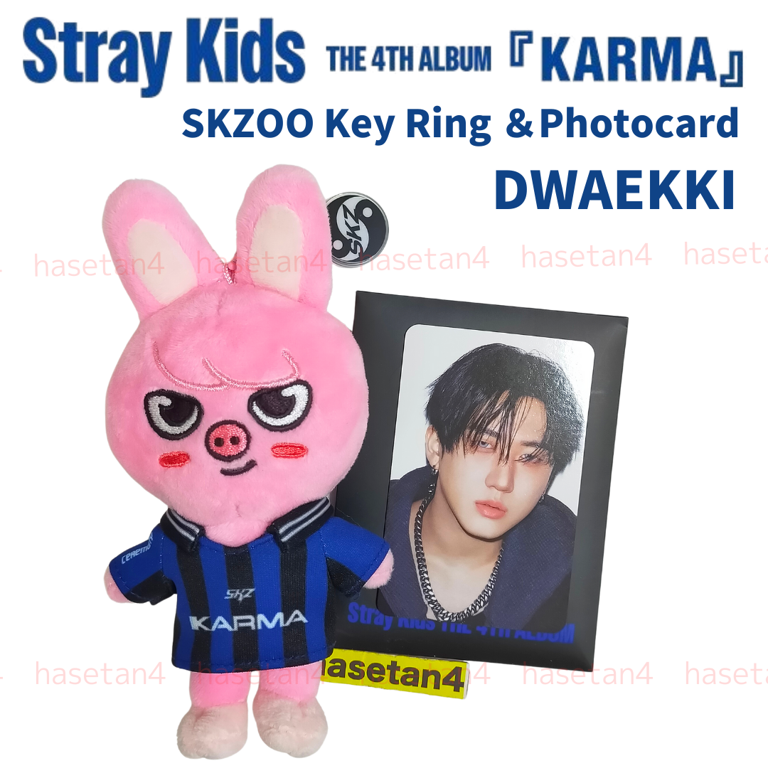 STRAY KIDS KARMA ALBUM SKZOO ver. KEYRING DWAEKKI with Changbin