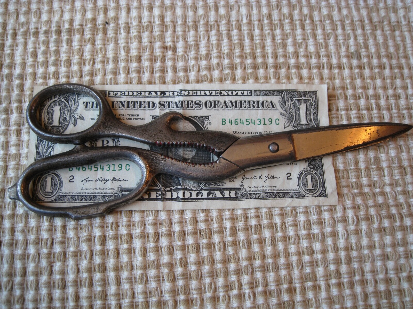 🇺🇸 👍 🔥  👉 vintage boker tree brand heavy duty scissors shears