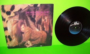 Dead-Or-Alive-Sophisticated-Boom-Boom-Vinyl-LP-Record-ALBUM-Synth-Pop-Promo