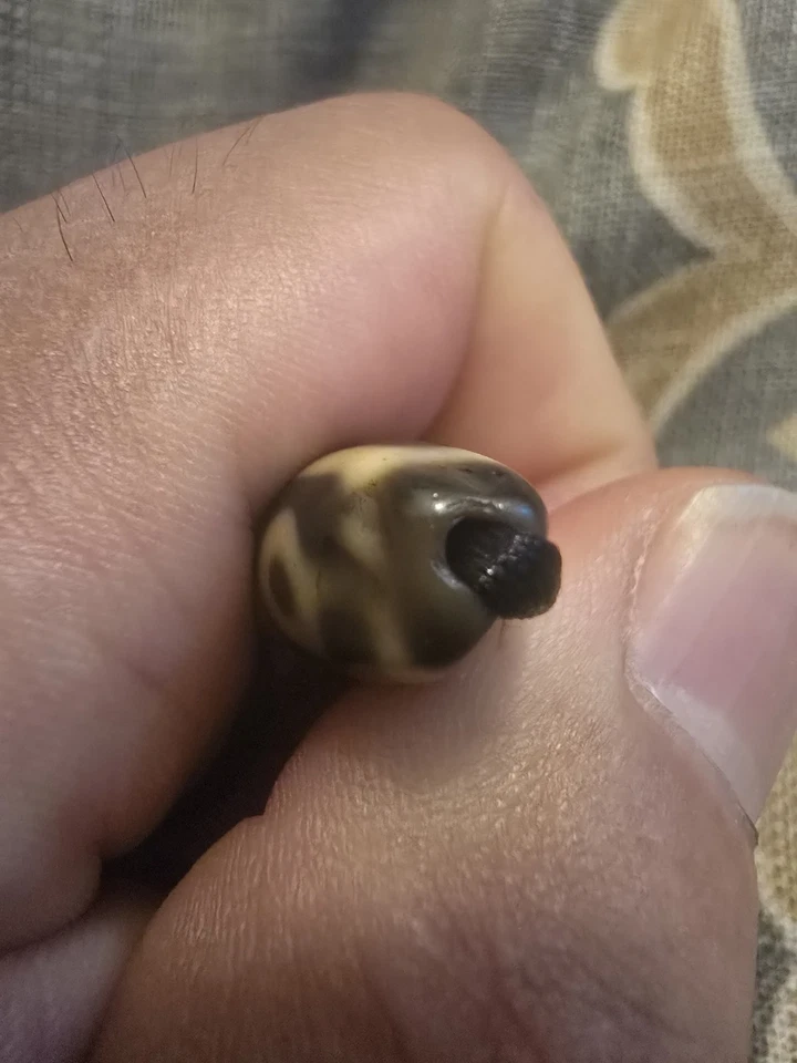 Cuentas Dzi tibetanas 4 ojos Foto 4 de 4