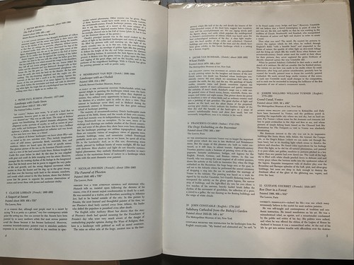 (3) ABRAMS ART BOOKS, RENOIR, TOULOUSE-LAUTREC AND GREAT LANDSCAPES - Foto 7 di 8