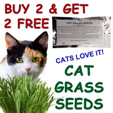 Cat Grass Seeds 25g BUY 2 GET 2 FREE - BUY 3 GET 3 FREE - BUY 4 GET 4 FREE