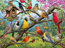 500 Piece Puzzle for Adults   Colorful Birds Jigsaw Puzzle for Adults  Senio...