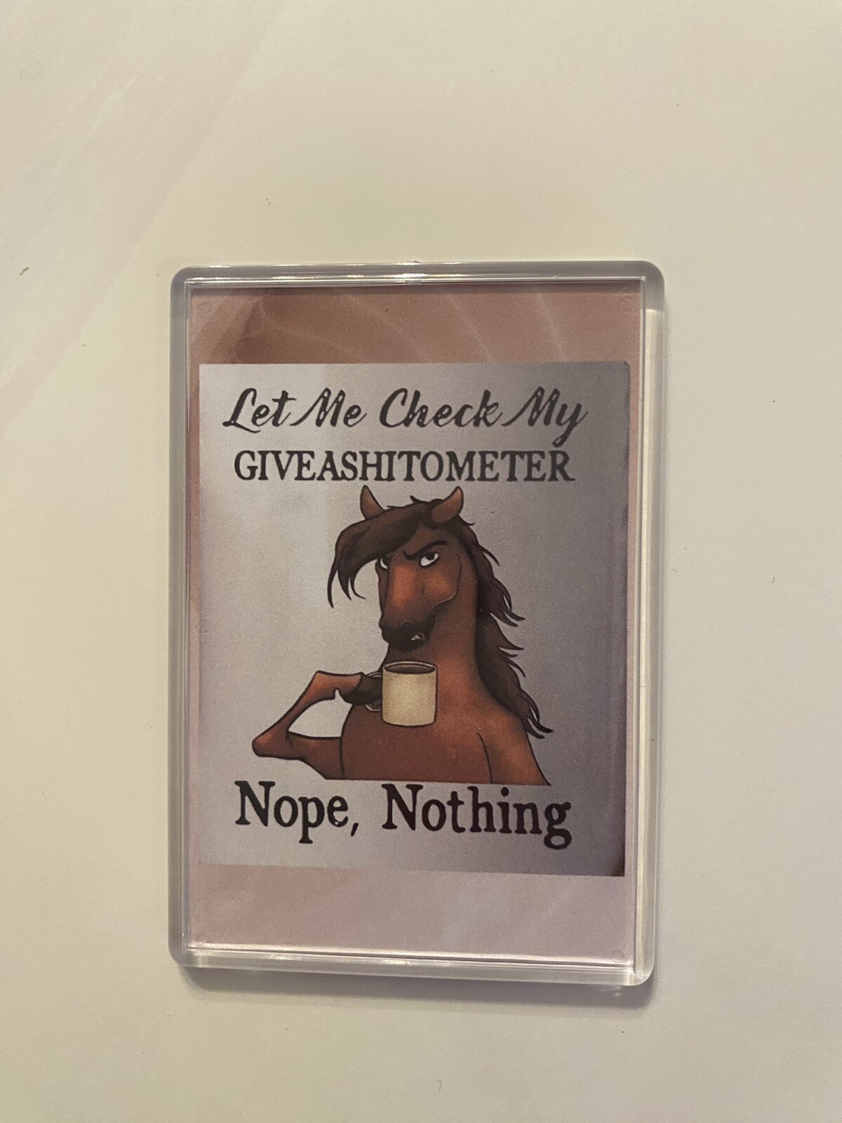 FRIDGE JOKE FUNNY Large , Souvenir, Gift , Memory , Funny