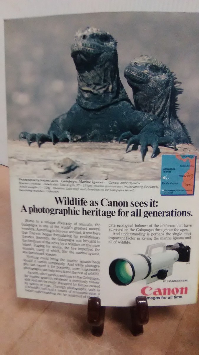 National Geographic Magazine英語版 71skO2knMML._UF350,350_QL80_.jpg