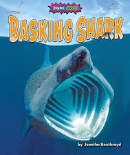 Basking Shark (Shark Shock!)