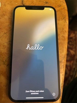 Apple iPhone 12 Pro Max - 512GB - Pacific Blue (Ohne Simlock) (Dual-SIM)