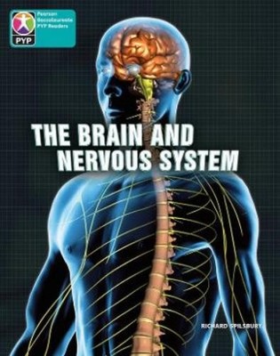 Richard Spilsbury PYP L10 Brain and nervous system 6PK (Mixed Media Product)