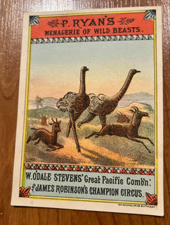1882 James Robinson's Champion Circus trade card