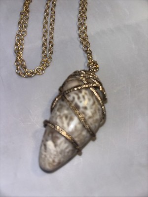 Bares Fossilized Corral Necklace Jewelry