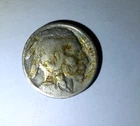 1913 Buffalo Nickel Type 2