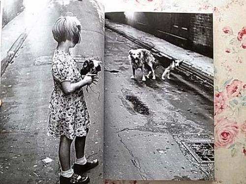 Elliott Erwitt Photo album : 1/125 Another look | eBay