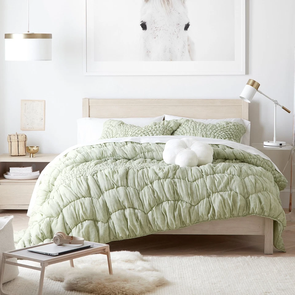 Pottery Barn Teen Cream Puff Microfibra Falsa, Salvia, Estándar Foto 4 de 4