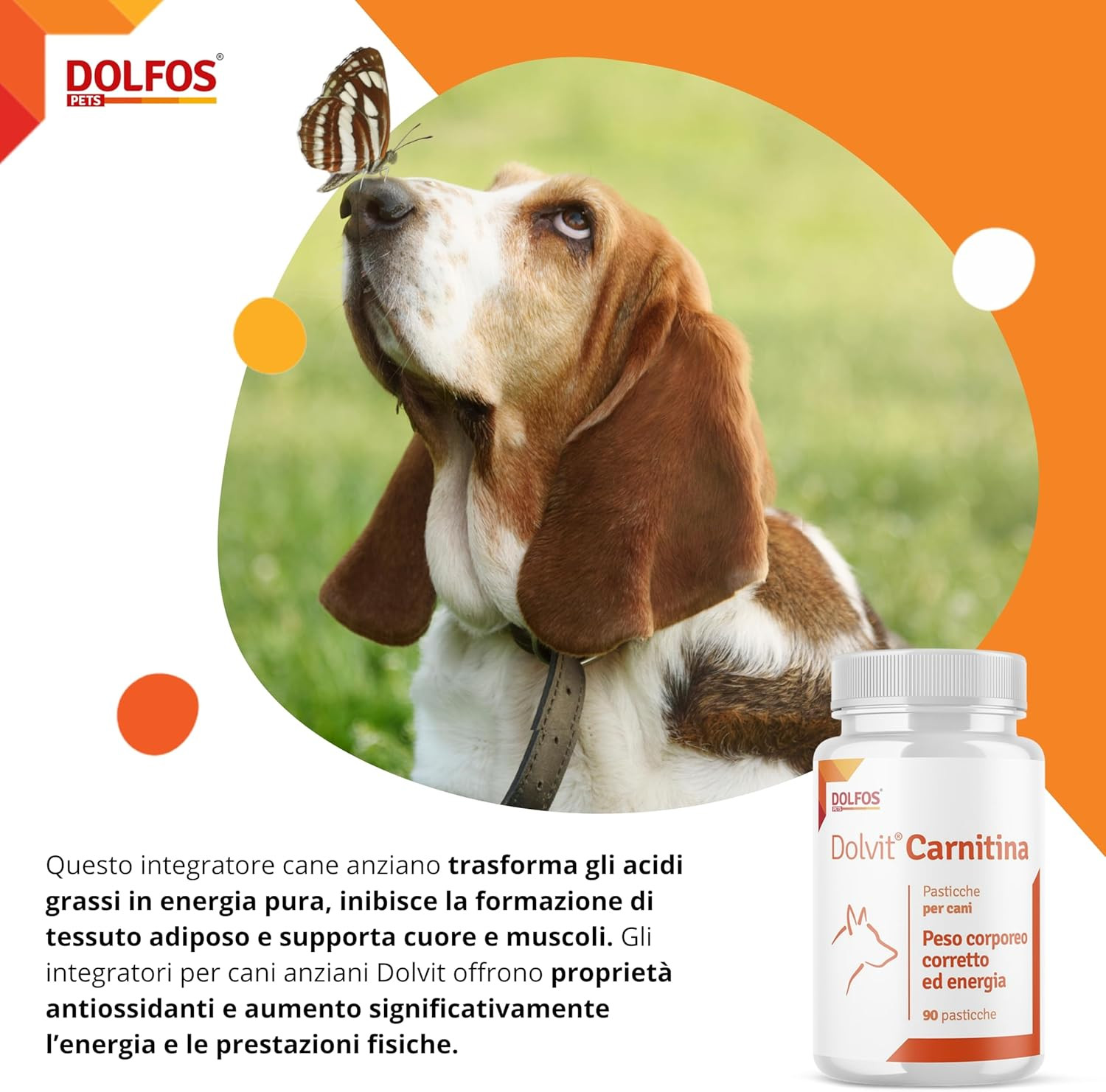 l carnitina per cani Dolvit Carnitine 90 cpr Integratore Cane da Caccia Energia e Forma