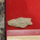 Stone Tool / Projectile Point / Arrowhead Artifact, Approx 2 in, Display Case — photo 3
