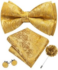 Mens Bow Tie Set Paisley Coloful Pre-tied Bowties Adjustable with Gold Brown