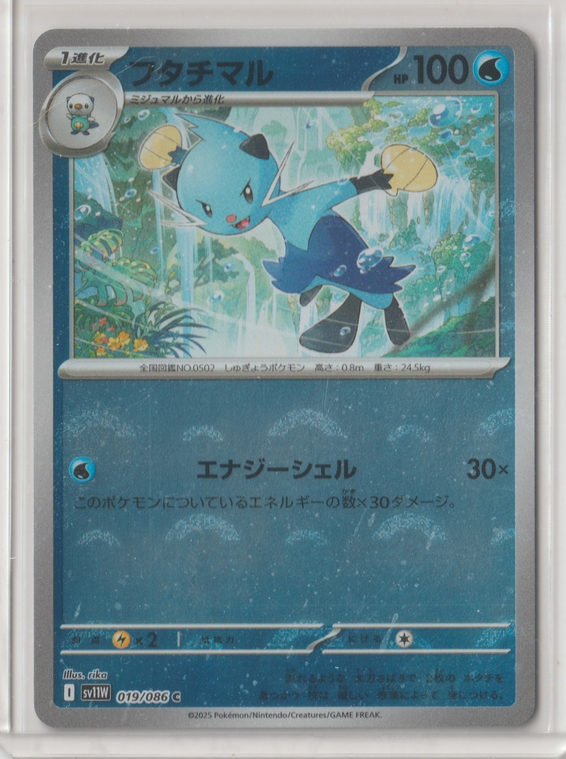 Pokémon Japanese 2025 White Flare DEWOTT 019/086 C MINT REVERSE HOLO POKE BALL