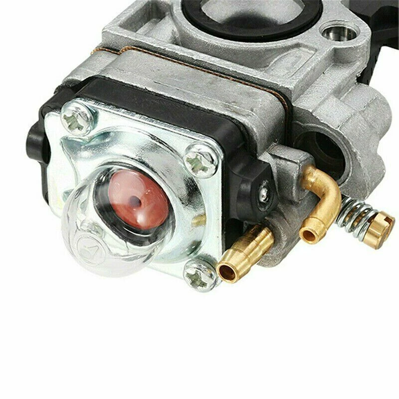 Picture 1 of 12