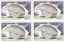 🦬Timbre France N°1819 en Bloc de 4 - Luxe ** - Tatou Géant - MNH** - 1974🦬
