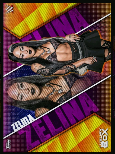 CAIXA DE LUXO 25 ICÔNICOS + SR + RAROS + CONJUNTOS INCOMUNS 60/60- Topps WWE Slam - Imagem 4 de 4