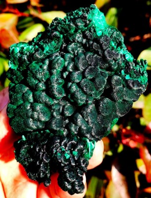 181.8g TOP! Boutique Peacock Light RARE Natural Green Malachite Specimen ie3211