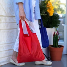 Wrapables Large & Small Foldable Tote Nylon Reusable Grocery Bags, Set of 2