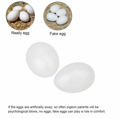 White 10pcs Solid Plastic Eggs  Fake Eggs For Racing Homing Pigeons Eggs