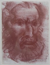 Pietro Annigoni (Milano 1910 - Firenze 1988) Volto virile sanguigna cm 20x15