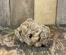 Missouri Druzy Quartz Fossilized Coral Stone Display