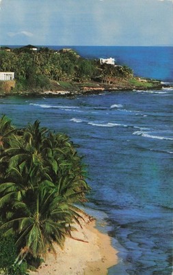 Vintage Black Point Hawaii Scenic Ocean View Postcard Honolulu T.H. Mike Roberts
