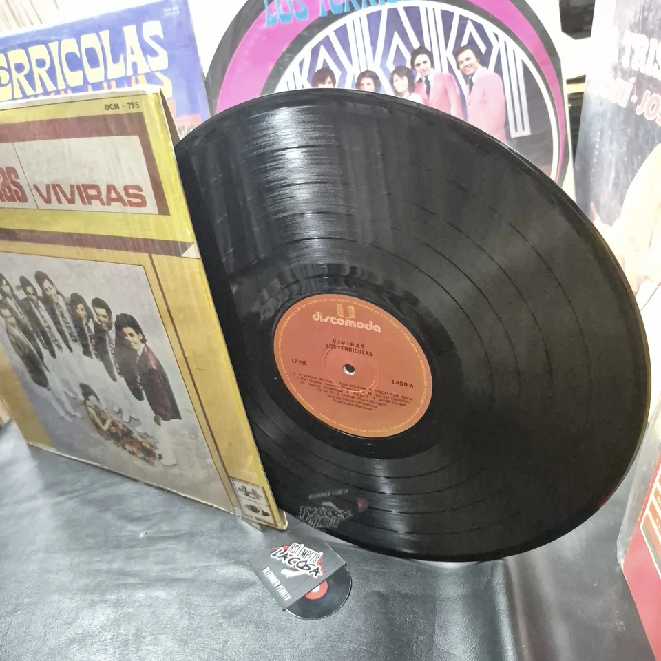 Los Terricolas – Vivirás - Latin, Rock, Psychedelic, Ballad, Venezuela, 1972 - Image 3 of 4