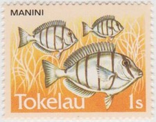 Tokelau 1984 - 1s Fish - Manini - MNH
