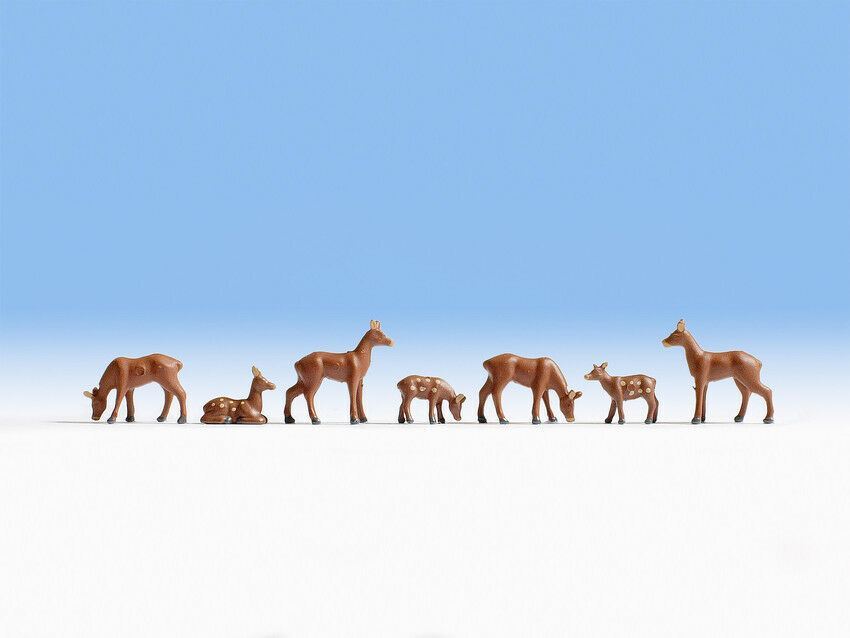 Scala Oo Capriolo (7) Noch 15740