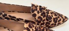 Cole Haan Women's Viola Skimmer  Flats Leopard NIB sz 5.5B $170 Trend — photo 8