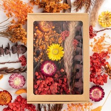 Trockenblumen Set bunt f&uuml;r DIY Fotodeko - Naturmaterial, Bastelbedarf, Tischd...