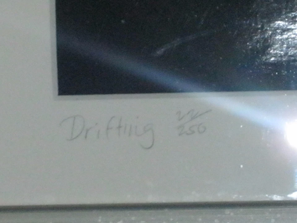 Винтажная подписанная фотография «Дрифтинг» Нэнси Нобл Гарднер в списке - Изображение 4 из 4