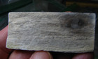 4PCS PETRIFIED WOOD WASHINGTON STATE USA #298 — photo 10