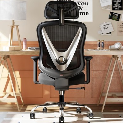 HOLLUDLE Ergonomischer Bürostuhl mit 3D Lordosenstütze & 3D verstellbaren Armlehnen