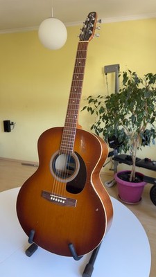 Akustikgitarre Seagull Entourage Mini Jumbo Rustic QI