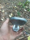 Picture 4 of 10