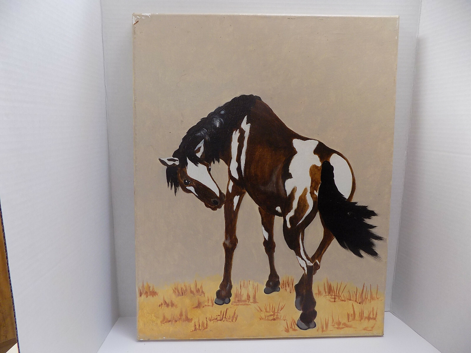 ART Painting PAINT or PINTO HORSE 16x20 ORIGINAL unsigned Oil on
