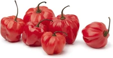 Sweet Bonnet Pepper Seeds for Planting (10 Seeds) - Easy to Grow