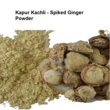 Kapur Kachli Powder Spiked Ginger Lily Hedychium Spicatum Kapoor 50gm 1.7 OZ :