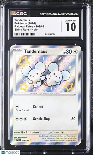 2024 Pokemon Paldean Fates Tandemaus Holo Shiny Rare Shiny Rare CGC 10 #209/091