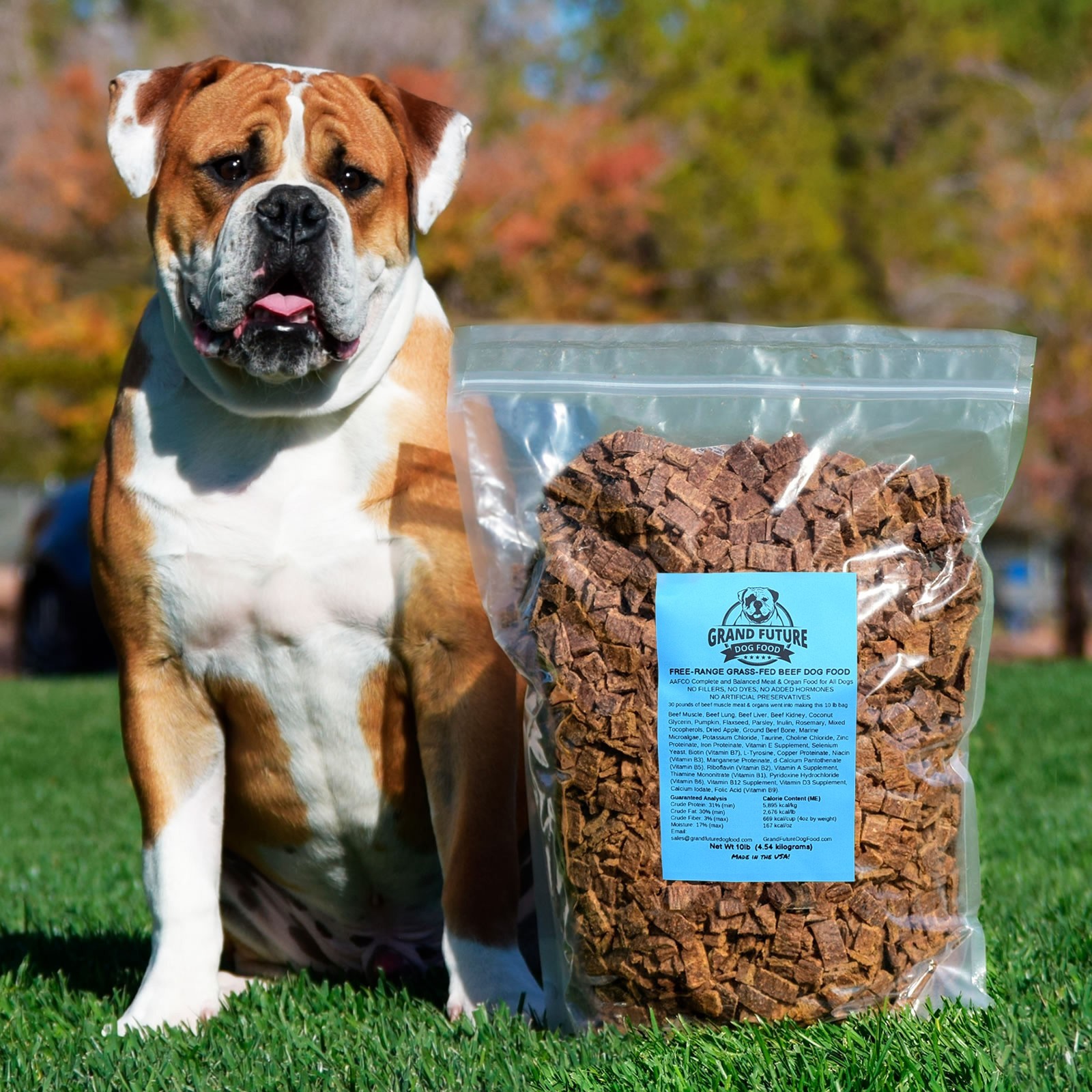 Grand Future Dog Food - Real Beef Air Dried - 10 lbs